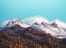 华体会服务——开启您的高端体育娱乐新体验